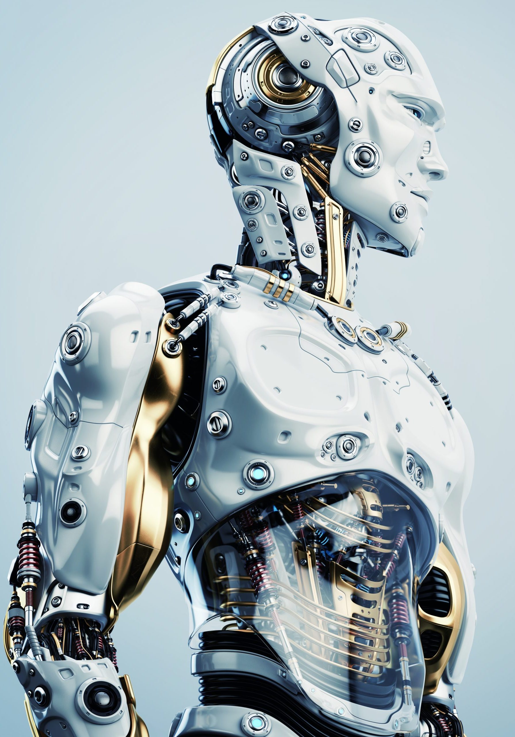 cropped-shutterstock_298898111-scaled-2.jpg